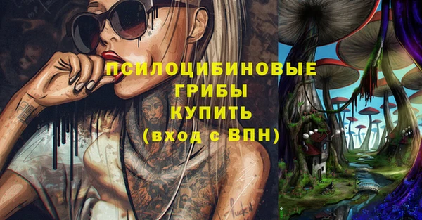 шишки Вязники